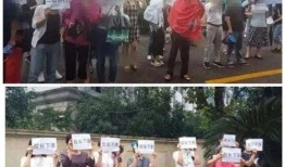 赞皇一中爆料新闻事件最新,真相揭秘，校园安全再引关注